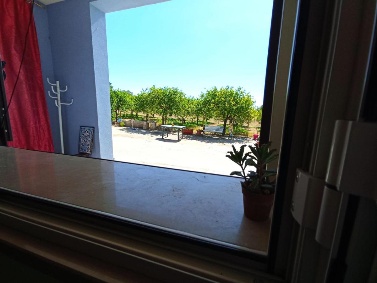 ノート Casa Vacanze Vannuzzaヴィラ エクステリア 写真