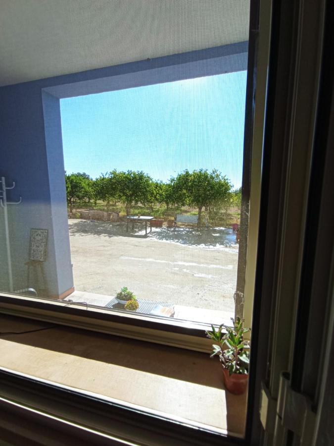 ノート Casa Vacanze Vannuzzaヴィラ エクステリア 写真