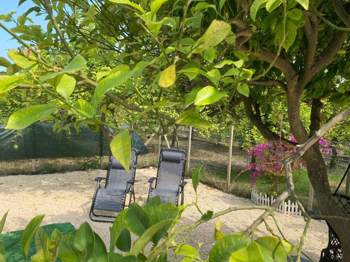 ノート Casa Vacanze Vannuzzaヴィラ エクステリア 写真